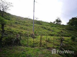  Land for sale in Tilaran, Guanacaste, Tilaran