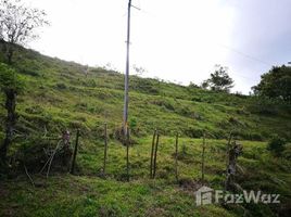  Terrain for sale in Guanacaste, Tilaran, Guanacaste