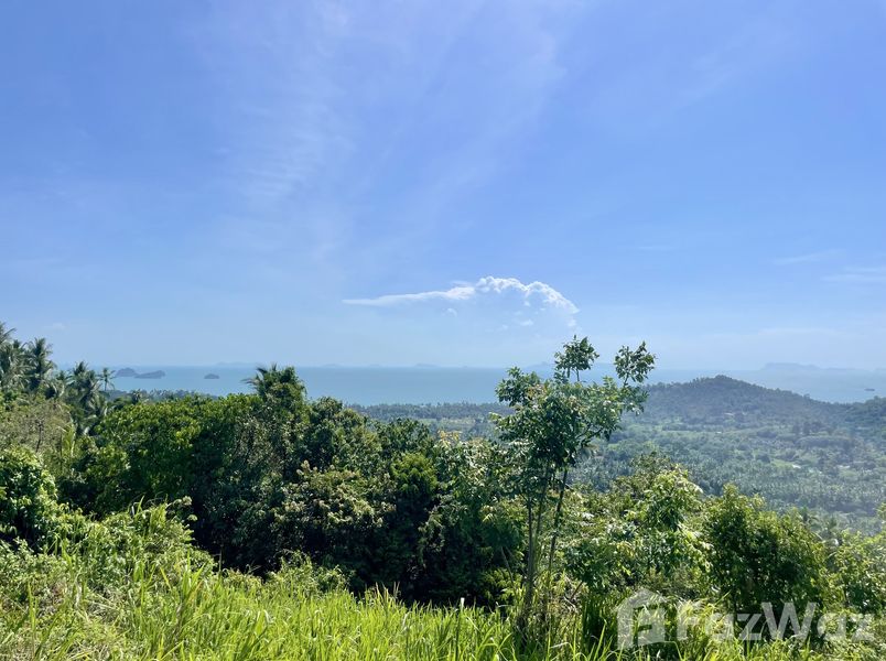 Land with Sea View for Sale near Koh Samui Snake Farm, Taling Ngam
