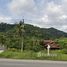  Land for sale in Si Sunthon, Thalang, Si Sunthon