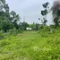 ขายที่ดิน ใน ปากพูน, นครศรีธรรมราช, ปากพูน, เมืองนครศรีธรรมราช, นครศรีธรรมราช, ไทย
