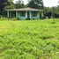  Grundstück zu verkaufen in Pococi, Limon, Pococi, Limon, Costa Rica