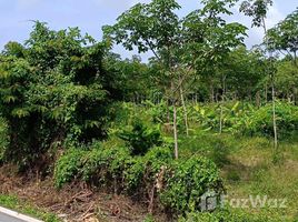 ขายที่ดิน ใน ไม้ขาว, ภูเก็ต, ไม้ขาว