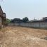  Land for sale in Tha Wang Tan, Saraphi, Tha Wang Tan