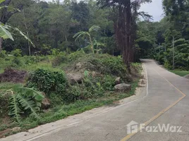 ขายที่ดิน ใน ภูเก็ต, ฉลอง, เมืองภูเก็ต, ภูเก็ต
