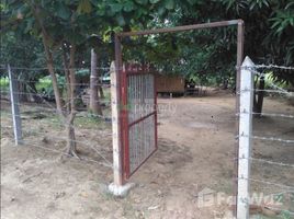 Mandalay Kyaukse Land for sale in Za Yat Hpyu, Mandalay N/A 土地 售 