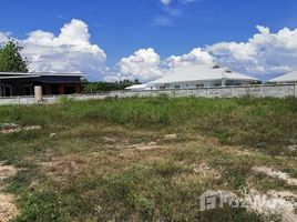N/A Land for sale in Pa Phai, Chiang Mai 213 sqw Land for Sale in San Sai
