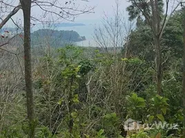  Land for sale in Lo Yung, Takua Thung, Lo Yung