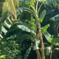  Grundstück zu verkaufen in Tubara, Atlantico, Tubara