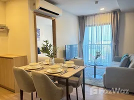 2 Bedroom Apartment for rent at THE BASE Bukit, Wichit, Phuket Town