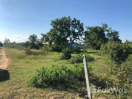  Land for sale in Prachuap Khiri Khan, Wang Phong, Pran Buri, Prachuap Khiri Khan