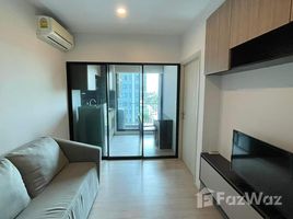 1 Bedroom Apartment for rent at The Gallery Bearing, Samrong Nuea, Mueang Samut Prakan, Samut Prakan