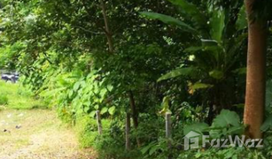 N/A Land for sale in Patong, Phuket 