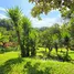  Land for sale in Costa Rica, Perez Zeledon, San Jose, Costa Rica
