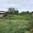  Land for sale in Thailand, Bang Khaem, Mueang Nakhon Pathom, Nakhon Pathom, Thailand