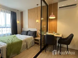 1 Bedroom Condo for rent at D Condo Creek, Kathu, Kathu, Phuket, Thailand