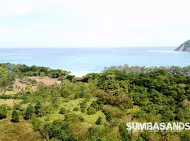  Grundstück zu verkaufen in Pandawai, East Nusa Tenggara, Pandawai, Sumba Timur, East Nusa Tenggara, Indonesien