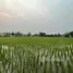 ขายที่ดิน ใน หนองหาร, เชียงใหม่, หนองหาร, สันทราย, เชียงใหม่