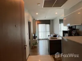 คอนโด 1 ห้องนอน ให้เช่า ในโครงการ วายน์ สุขุมวิท, พระโขนง, คลองเตย