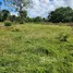 Terrain à vendre à San Felipe De Puerto Plata, Puerto Plata, San Felipe De Puerto Plata, Puerto Plata, République dominicaine