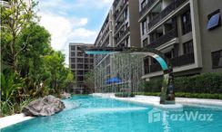 Photos 1 of the Communal Pool at Marvest