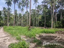 ขายที่ดิน ใน ตลิ่งงาม, สุราษฎร์ธานี, ตลิ่งงาม, เกาะสมุย