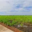  Land for sale in Thailand, Thep Nakhon, Mueang Kamphaeng Phet, Kamphaeng Phet, Thailand