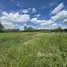  Land for sale in Don Kaeo, Chiang Mai, Don Kaeo, Saraphi, Chiang Mai