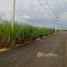  Land for sale at Centro, Itanhaem, Itanhaem