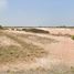  Land for sale in Nakhon Ratchasima, Kut Phiman, Dan Khun Thot, Nakhon Ratchasima