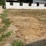 N/A Land for sale in Ton Pao, Chiang Mai Divided Land for Sale in San Kamphaeng