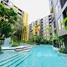 Studio Condo for rent at THE BASE Central Phuket, Wichit, Phuket Town, Phuket