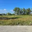  Land for sale in Bueng Kho Hai, Pathum Thani, Bueng Kho Hai