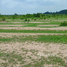 在加纳出售的 土地, Dangbe West, Greater Accra, 加纳