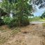  Land for sale in Maenam, Koh Samui, Maenam