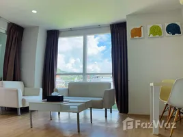 1 Habitación Apartamento en alquiler en Ozone Condotel, Karon, Phuket Town, Phuket, Tailandia