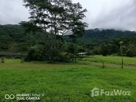  Land for sale in Thailand, Inthakhin, Mae Taeng, Chiang Mai, Thailand