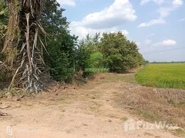 ขายที่ดิน ใน บึงบอน, ปทุมธานี, บึงบอน, หนองเสือ