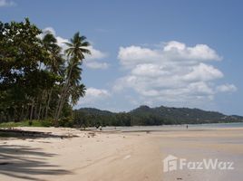  Grundstück zu verkaufen in Koh Samui, Surat Thani, Na Mueang, Koh Samui