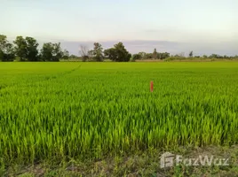 ขายที่ดิน ใน บึงศาล, นครนายก, บึงศาล, องครักษ์, นครนายก