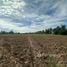  Land for sale in Kham Thale So, Nakhon Ratchasima, Bueng O, Kham Thale So
