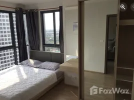 2 Bedroom Condo for rent at Ideo O2, Bang Na, Bang Na, Bangkok, Thailand