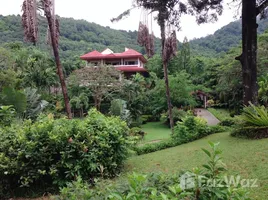 4 Schlafzimmer Haus zu verkaufen in Phuket Town, Phuket, Karon