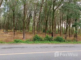 ขายที่ดิน ใน ไม้ขาว, ภูเก็ต, ไม้ขาว