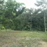  Land for sale in Amazonas, Careiro, Amazonas