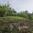 ขายที่ดิน ใน ตลิ่งงาม, สุราษฎร์ธานี, ตลิ่งงาม