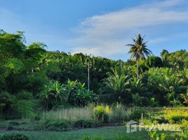  Land for sale in Krabi, Laem Sak, Ao Luek, Krabi
