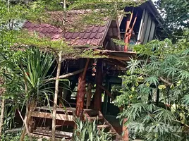  Terreno (Parcela) en venta en Tailandia, Phu Po, Mueang Kalasin, Kalasin, Tailandia