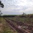  Land for sale in Nong Ruea, Khon Kaen, Non Sa-At, Nong Ruea