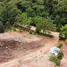  Land for sale in Layan Beach, Choeng Thale, Choeng Thale